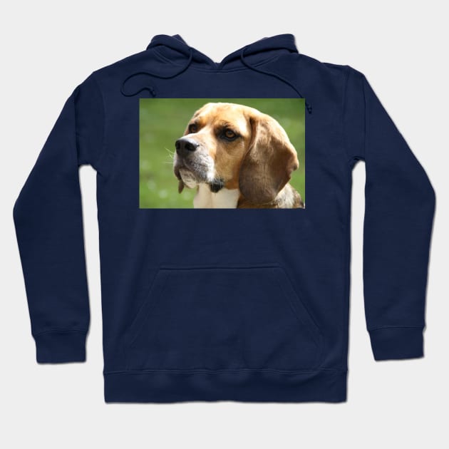 Beagle fifth Hoodie by Wanderingangel